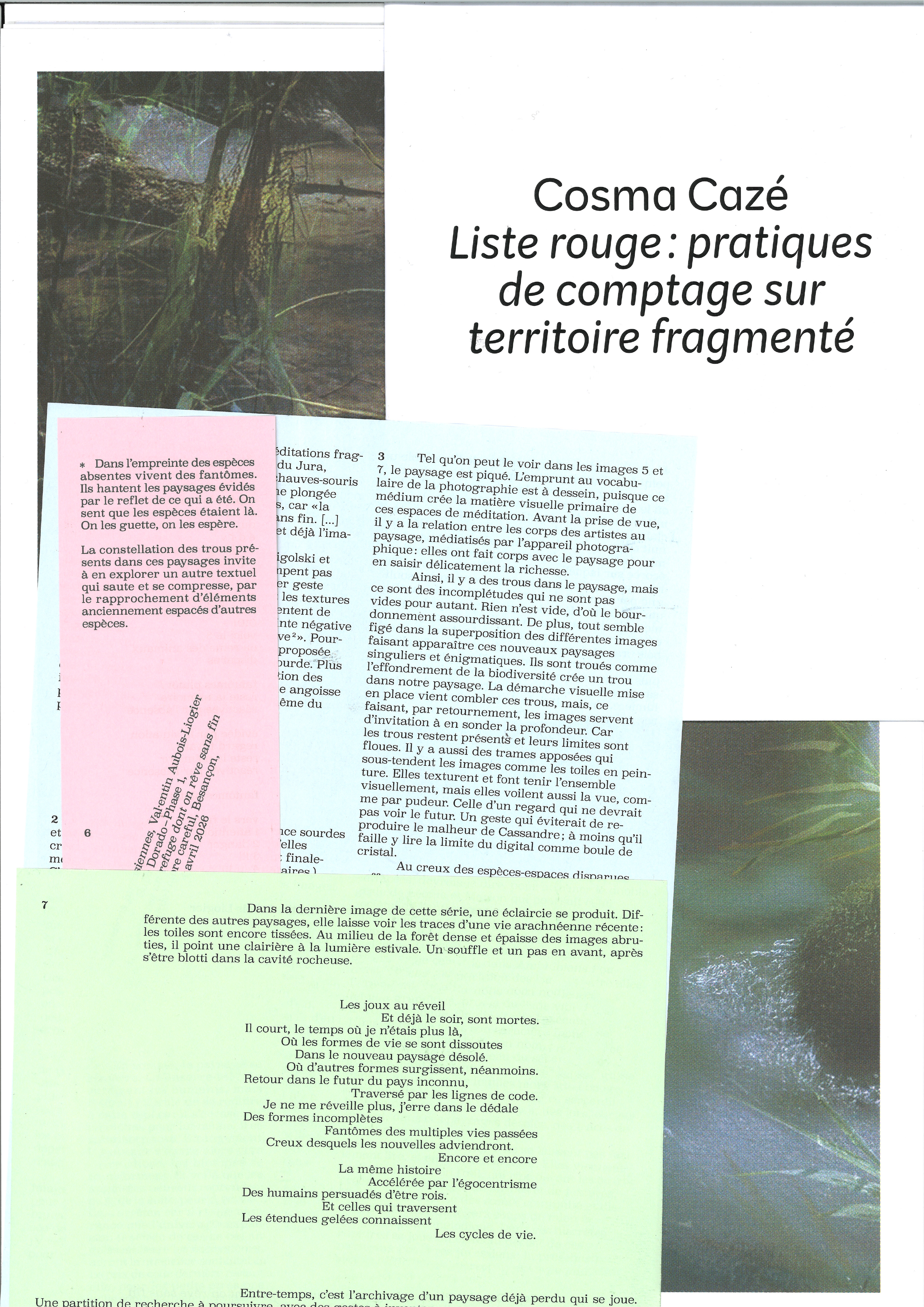 VAL-meditations-jurassiennes-10